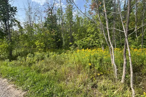 0 Cedar Avenue, ON N4L 1W5