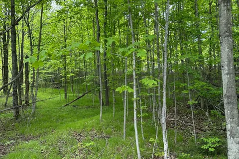 17158 Road 509 N/A, ON K0H 2P0