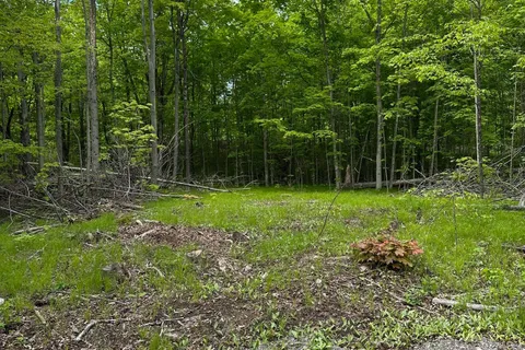 17158 Road 509 N/A, ON K0H 2P0