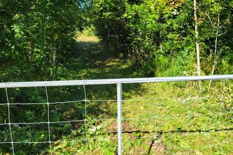 3931 Wallace Point Road, ON K9J 0E4