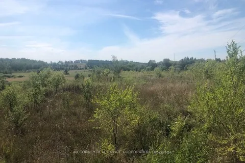 3931 Wallace Point Road, ON K9J 0E4