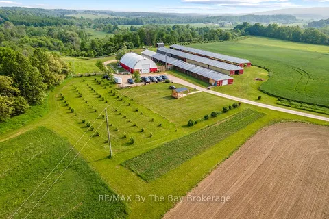 828482 MULMUR NOTTAWASAGA T Line, ON L9V 0N9