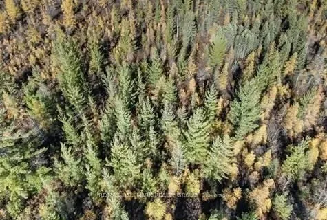 13208 County 15 Road, ON K0G 1N0