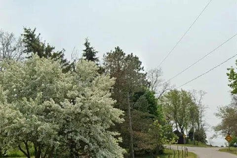 76 Dover Street, ON N1A 2W6