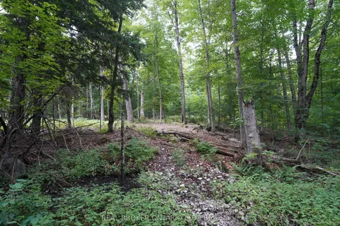 N/A Fader Drive, ON K0M 1J1