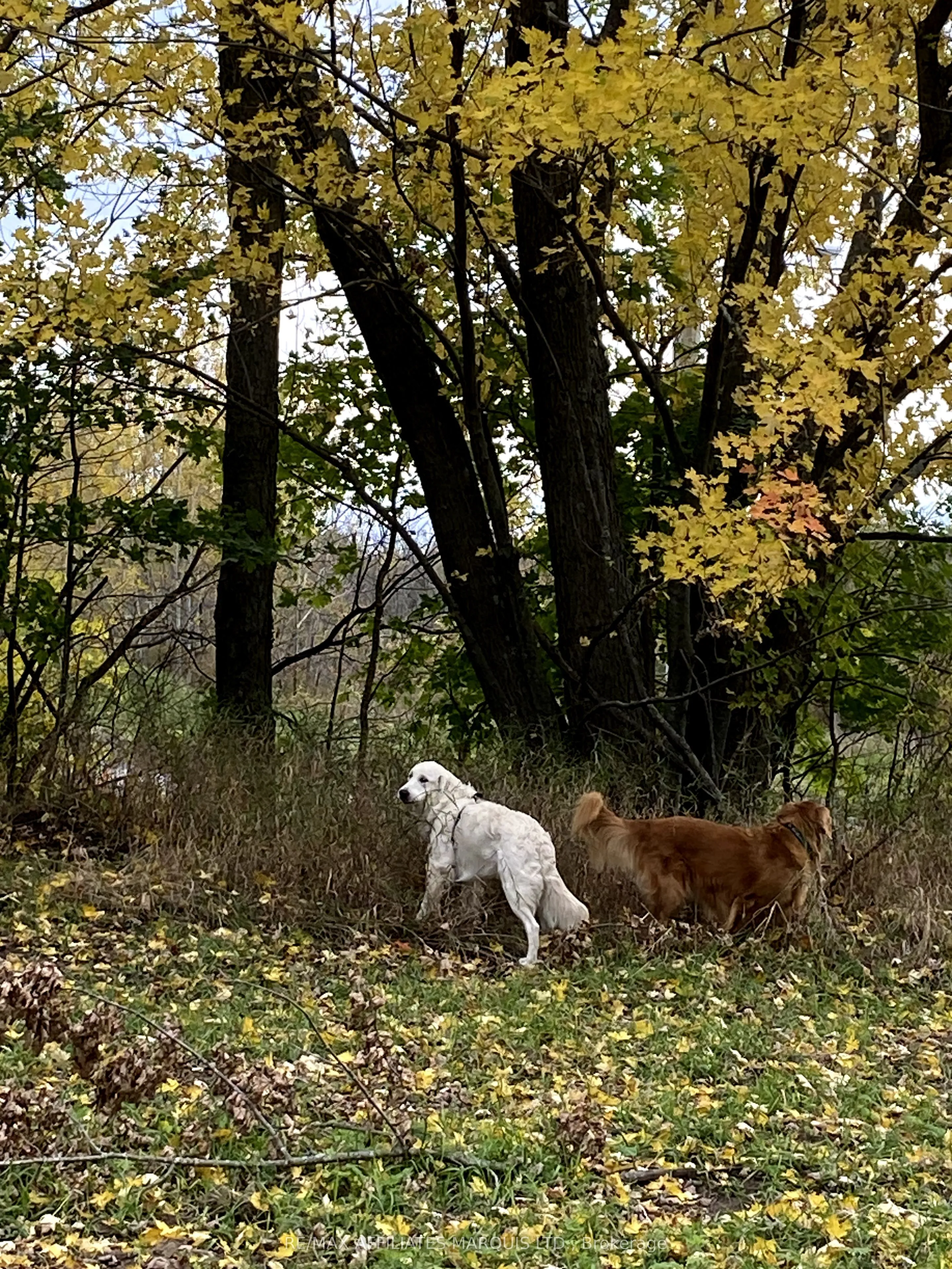 LOT Sapphire Drive, ON K6H 7J1