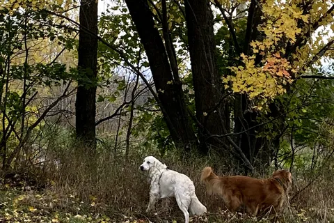 LOT Sapphire Drive, ON K6H 7J1