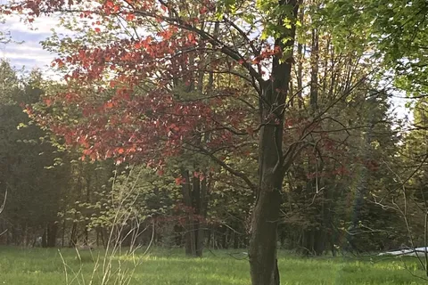 LOT Sapphire Drive, ON K6H 7J1