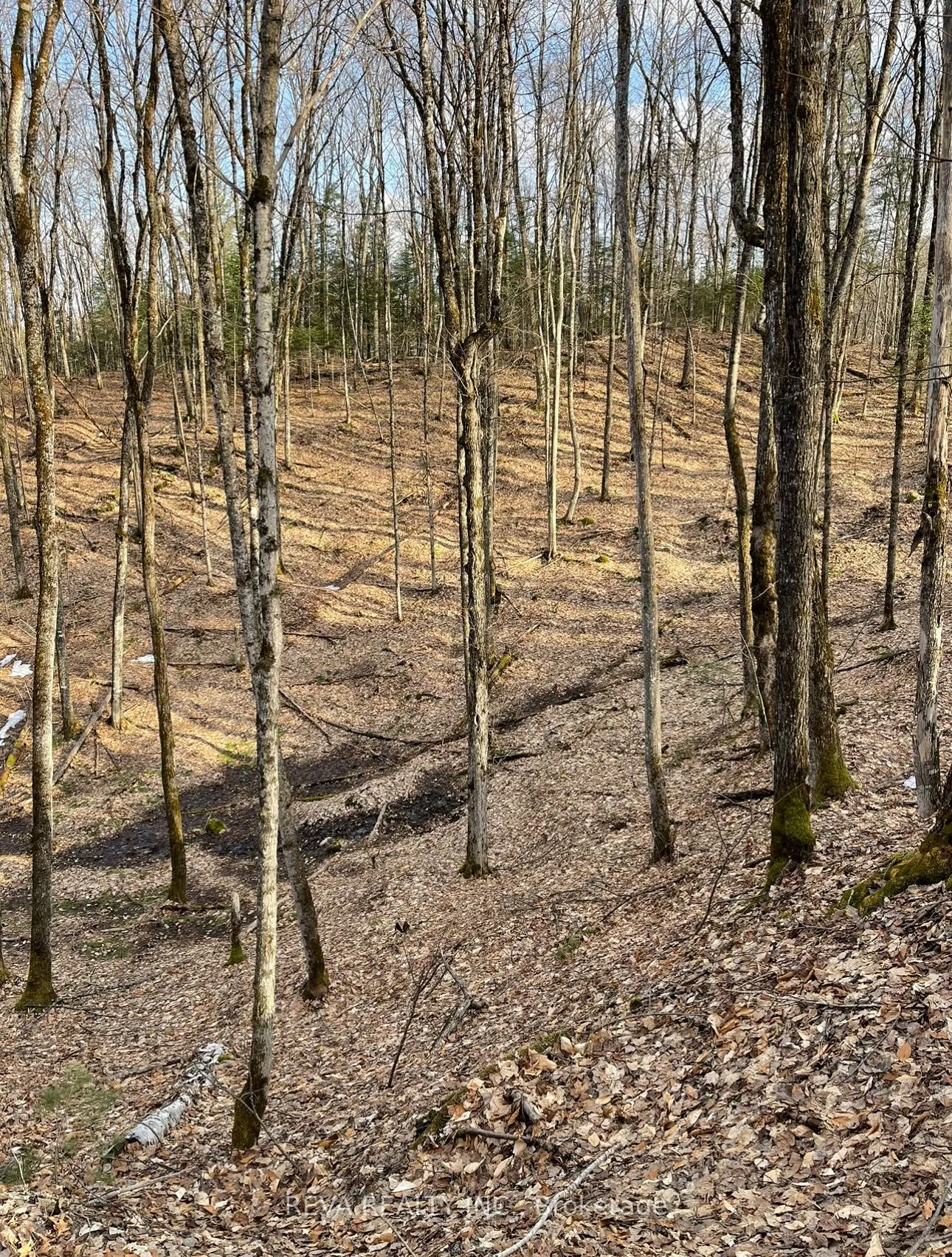 0 Rallison Road, ON K0L 2L0