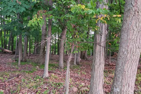 PT LT 8 ROAD 96 N/A, ON K0H 2Y0