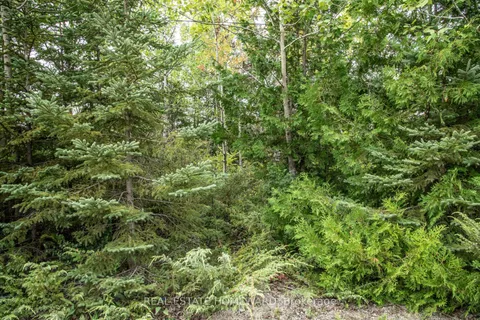 254-256 McGuire Beach Road, ON K0M 2B0