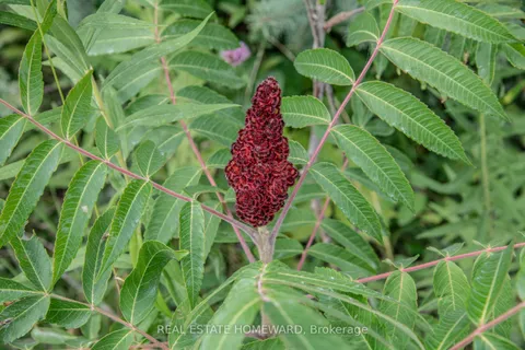 254-256 McGuire Beach Road, ON K0M 2B0