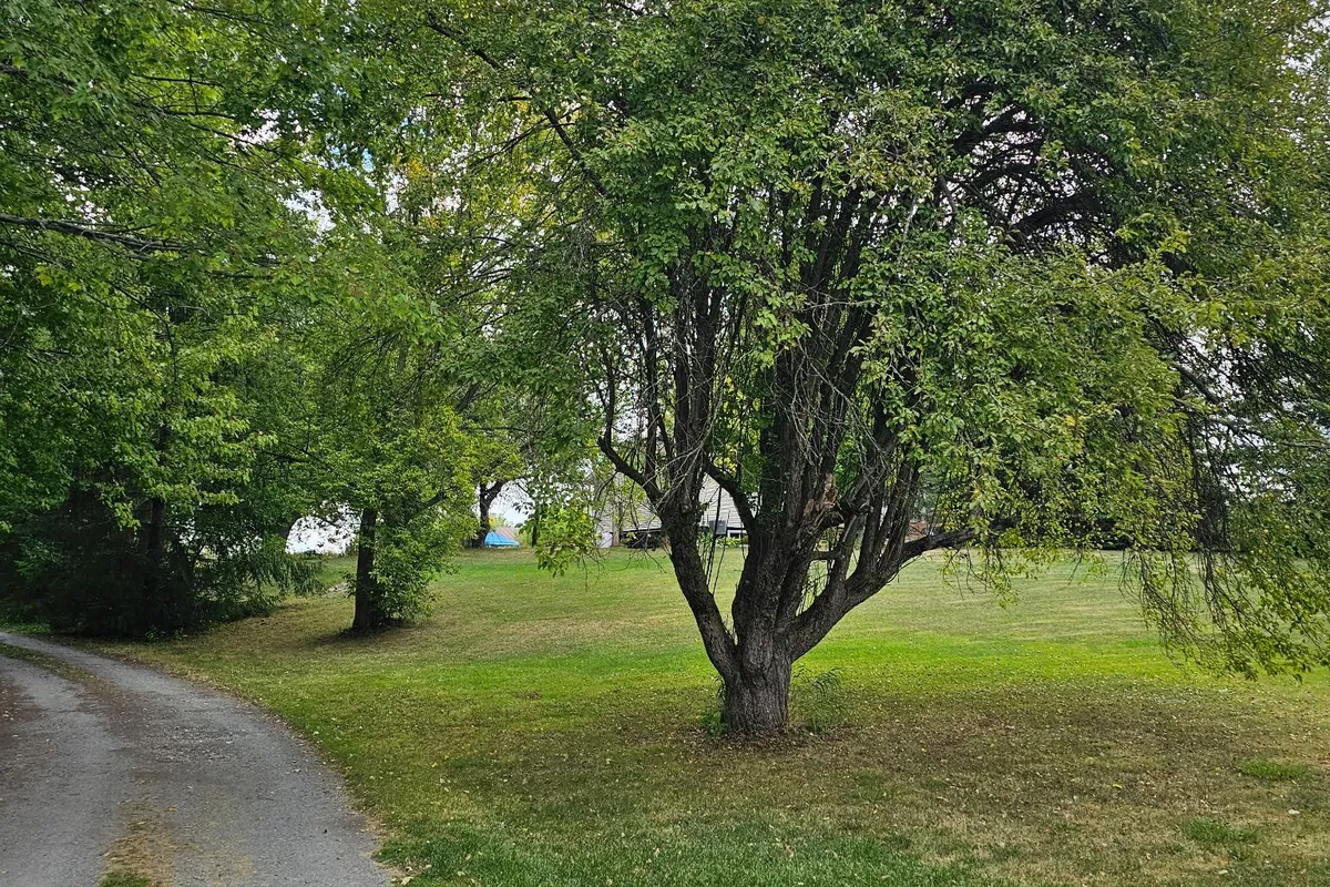 609 LOWER SLASH Road, ON K0K 1X0