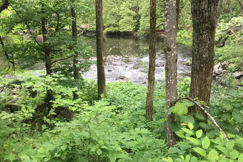 0 & 00 Betty Lane, ON K0L 1P0