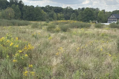 N/A Green Road, ON L0S 1V0