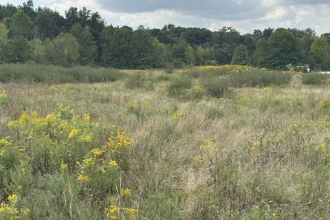 N/A Green Road, ON L0S 1V0