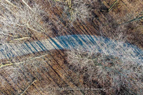 29709 CELTIC Line, ON N0L 1J0