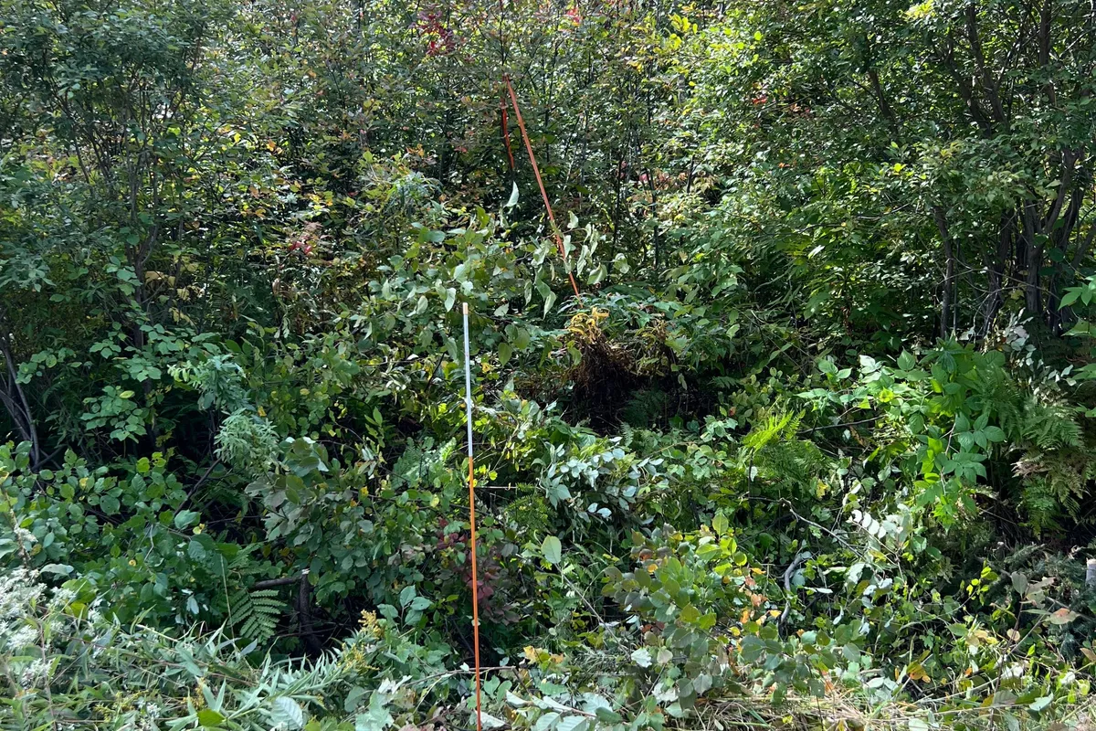 Part 1 Highway 539A N/A, ON P0H 2C0