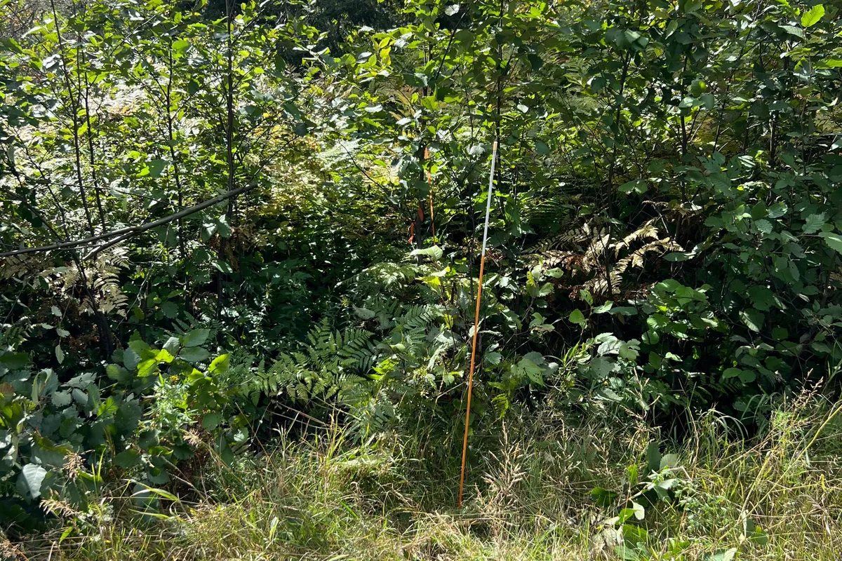 Part 2 Highway 539A N/A, ON P0H 2C0