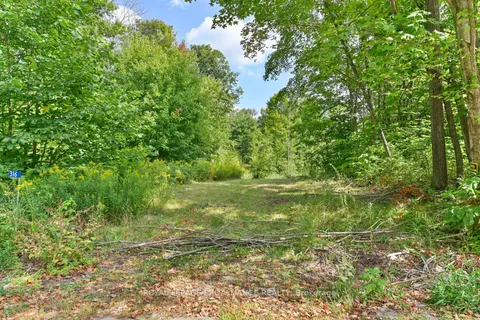 316 High Shore Road, ON K0K 2M0