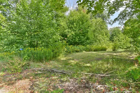 316 High Shore Road, ON K0K 2M0