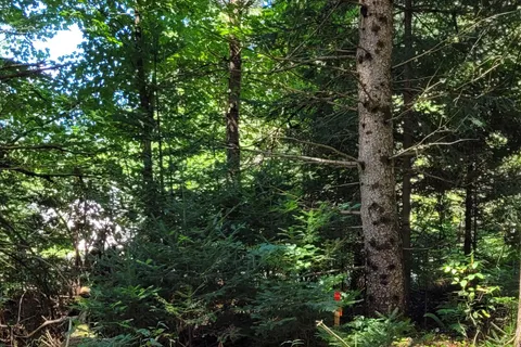 1059 Ablett Court, ON K0M 1J0