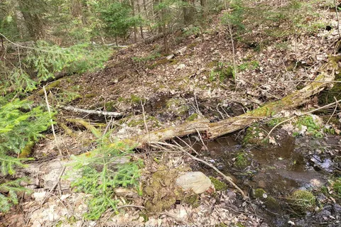 0 Highway 62 N N/A, ON K0L 2S0