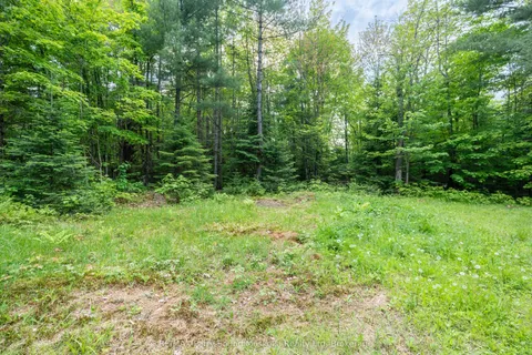 141 Middle Road, ON P0A 1C0