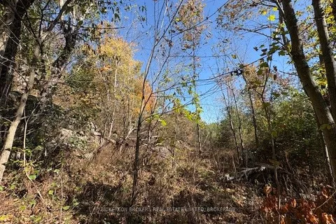 254 Briar Hill Road, ON K0E 1N0