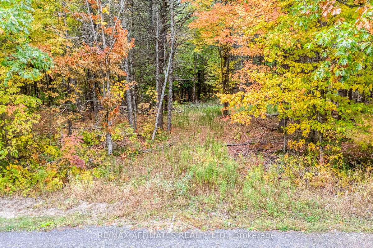 Lot 131 Ramsay Con 3C Road, ON K0A 1A0