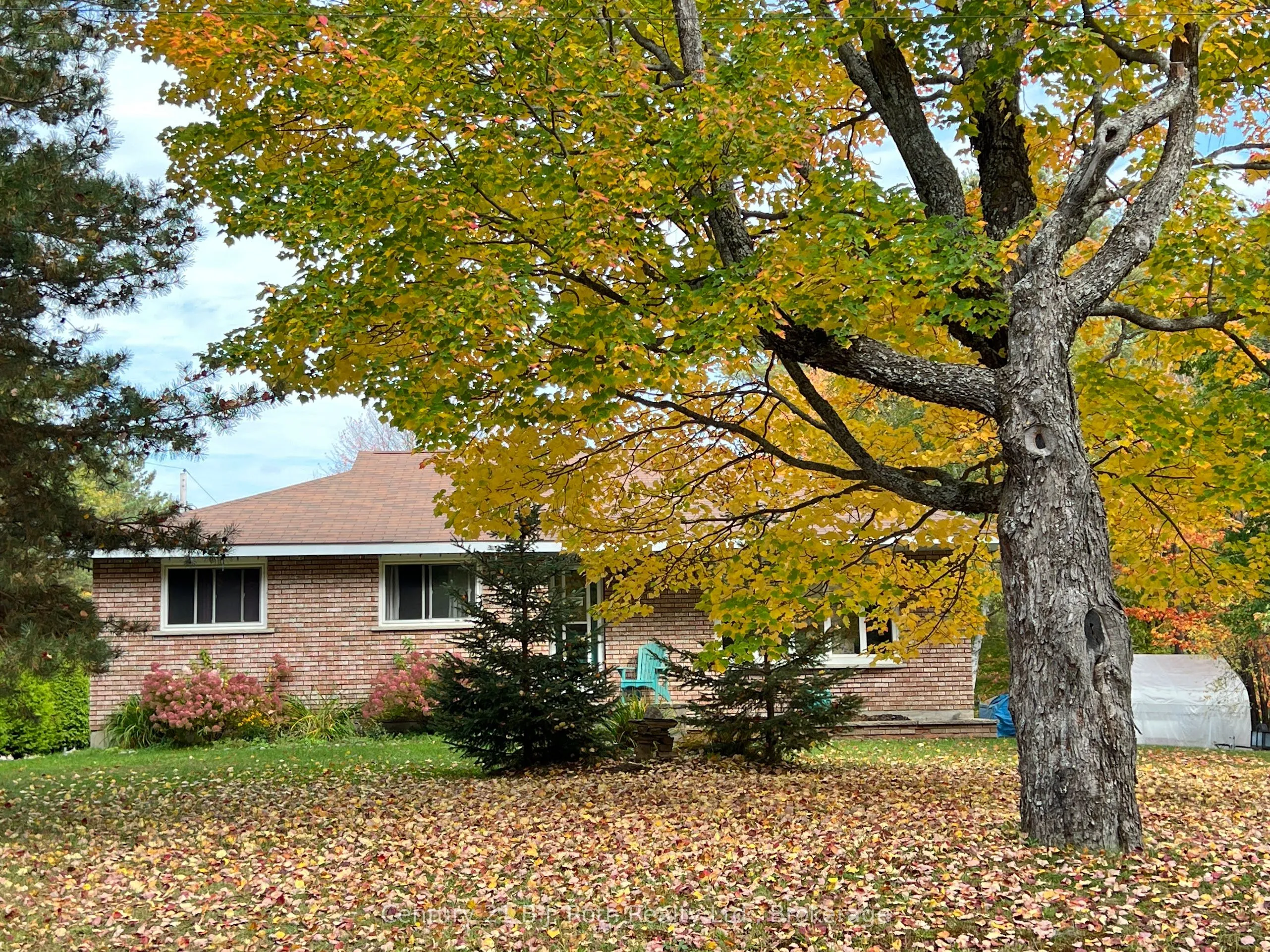 79 Albert Street, ON P0A 1Z0