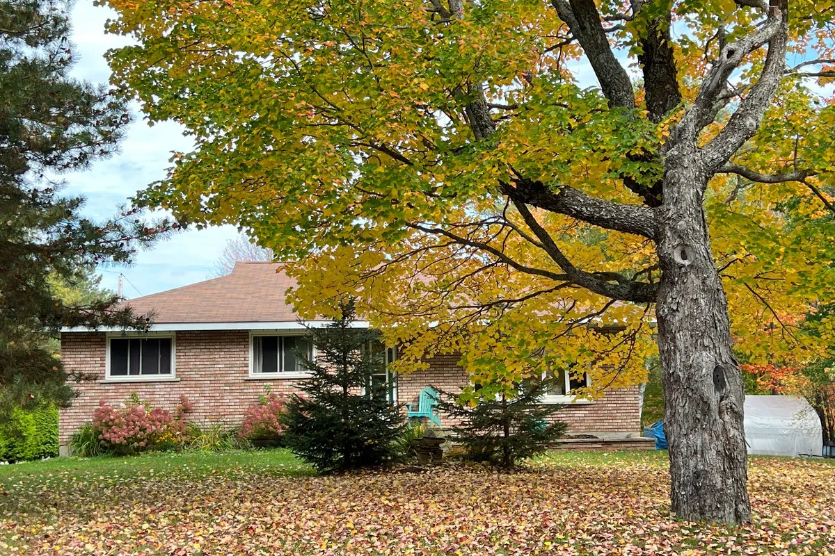 79 Albert Street, ON P0A 1Z0