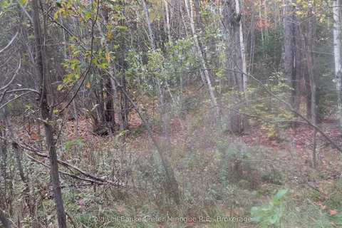 Lot 25 DEVELOPMENT Road, ON P0H 2E0