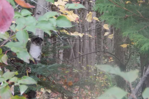 Lot 25 DEVELOPMENT Road, ON P0H 2E0