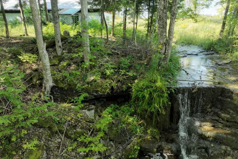 LT 34 CONCESSION RD 24 N/A, ON N0H 2T0