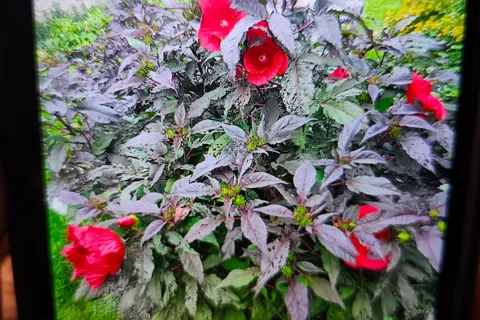 102 Byeland Drive, ON N0G 2L2