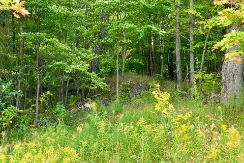 0 Clear Lake Road, ON P0H 1A0