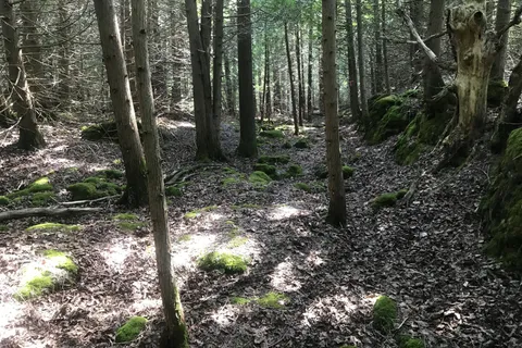 65 Lawrence Road, ON N0H 2T0