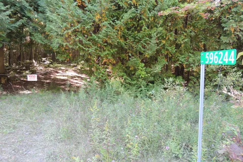 596244 Concession 10 N/A, ON N0H 1R0