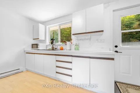 4 Fire Route 140 (Turtle Lane) Lane, ON P0G 1C0