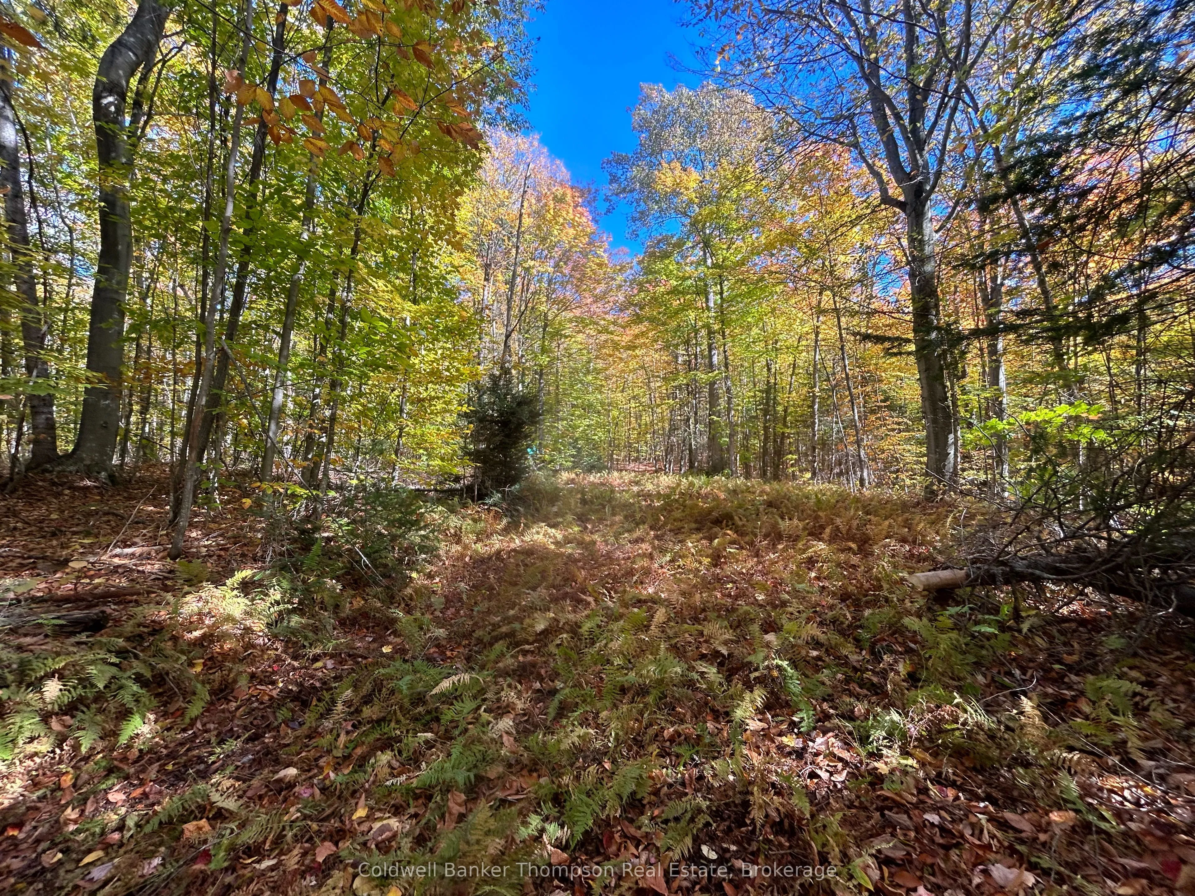 833 Hamilton Lake Road, ON P0A 1X0