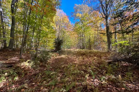 833 Hamilton Lake Road, ON P0A 1X0