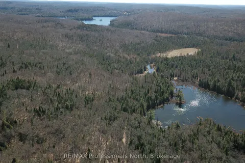 00 SOUTH HORN LAKE Road, ON P0B 1C0