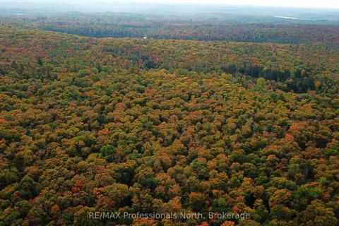 00 SOUTH HORN LAKE Road, ON P0B 1C0