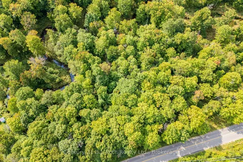 1233 BEIERS RD N/A, ON P0E 1N0