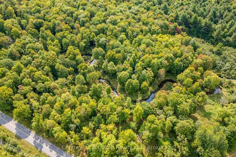 1233 BEIERS RD N/A, ON P0E 1N0