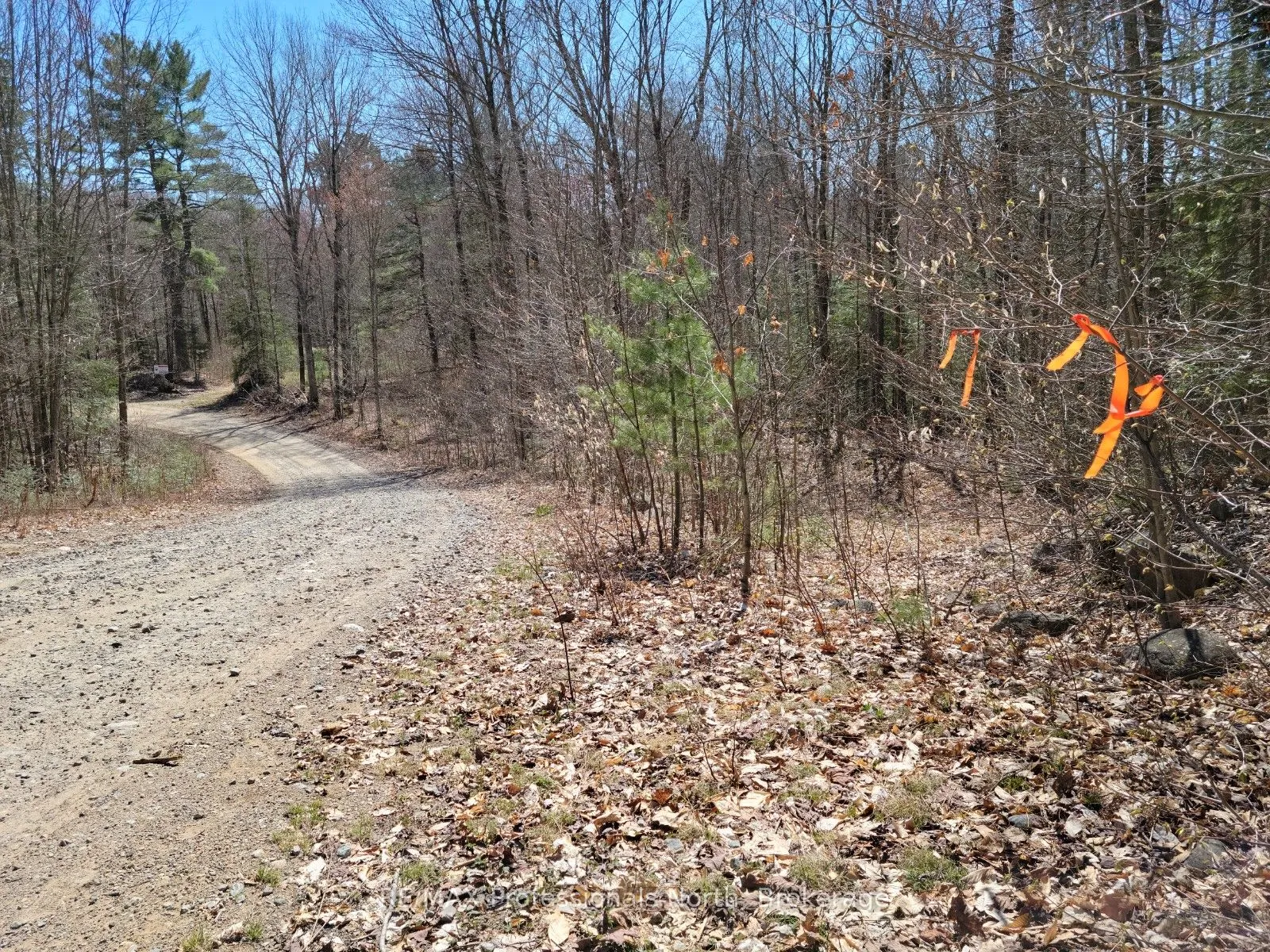 LOT 32 Concession 11 N/A, ON P1H 2J6