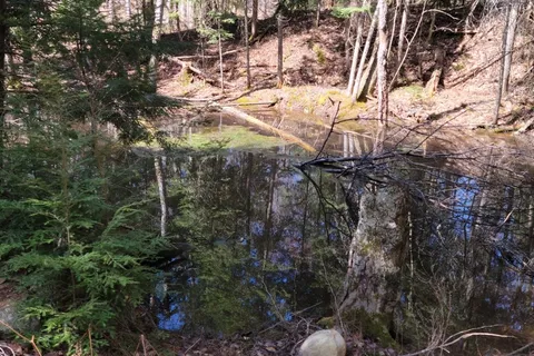 LOT 32 Concession 11 N/A, ON P1H 2J6