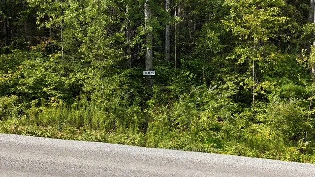 LOT 11 Fox Run Drive, ON P0H 2H0
