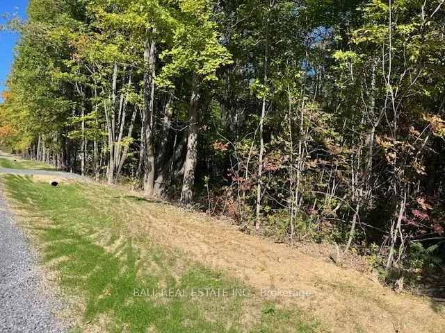 Pt 33A & Pt 33B Autumn Road, ON K0K 3K0